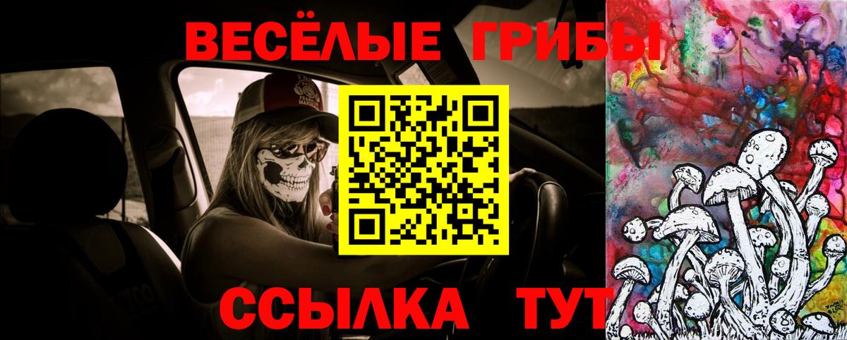 Галлюциногенные грибы Magic Shrooms Дзержинский