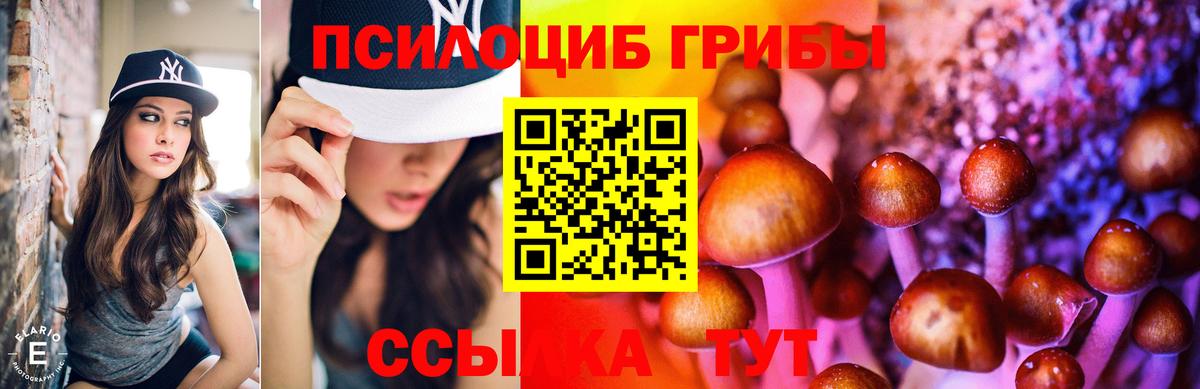 цена   Вход с VPN  Дзержинский  Псилоцибиновые грибы прущие грибы 